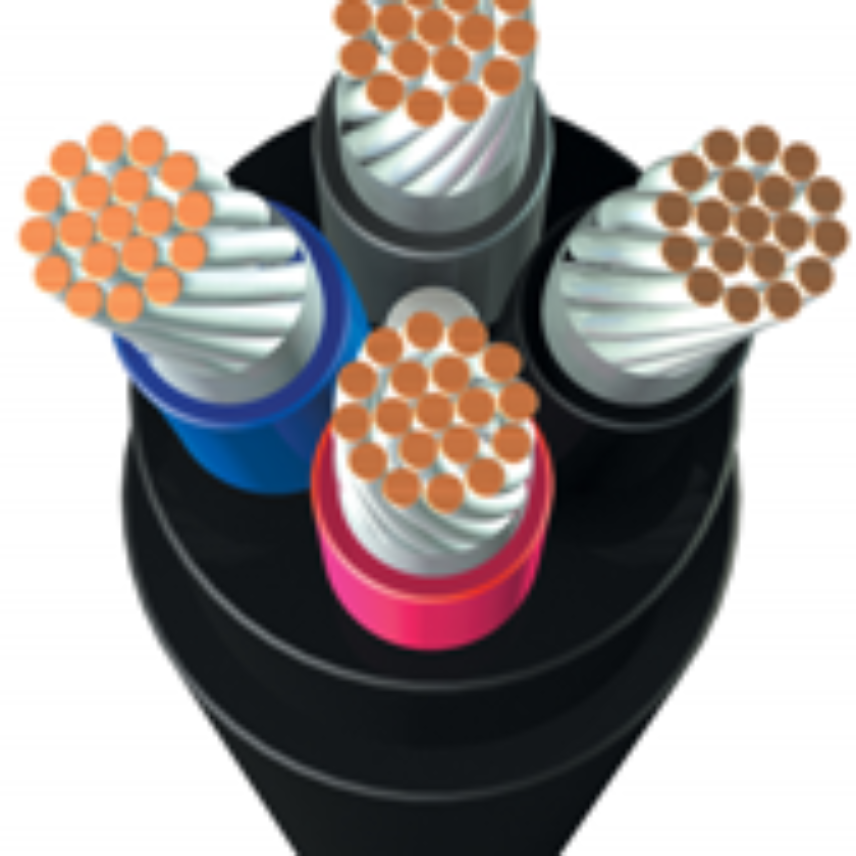 0.6/1KV BU [P110] (Plus earth Cores)